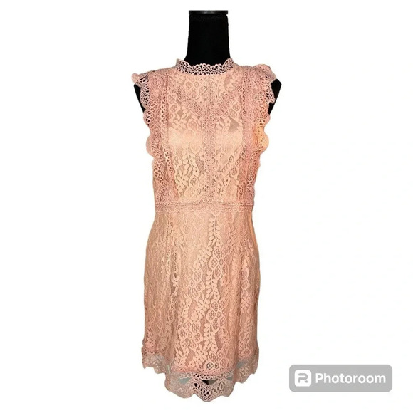 NWT Lulus My Sweetheart Blush Pink Lace Mini Dress size Medium - Picture 15 of 15